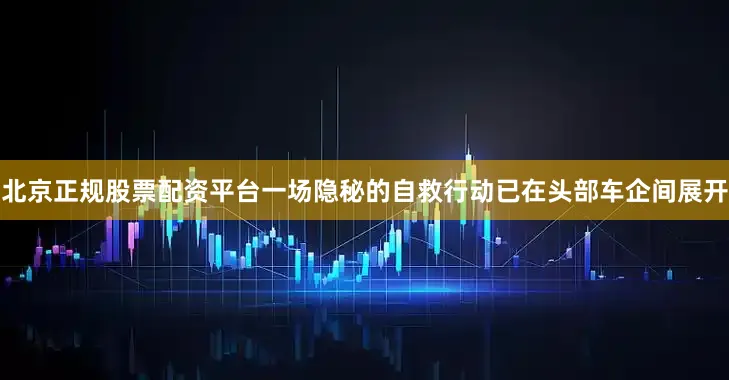 北京正规股票配资平台一场隐秘的自救行动已在头部车企间展开