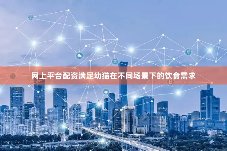网上平台配资满足幼猫在不同场景下的饮食需求