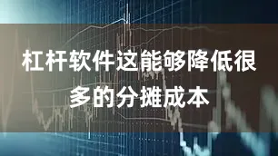 杠杆软件这能够降低很多的分摊成本