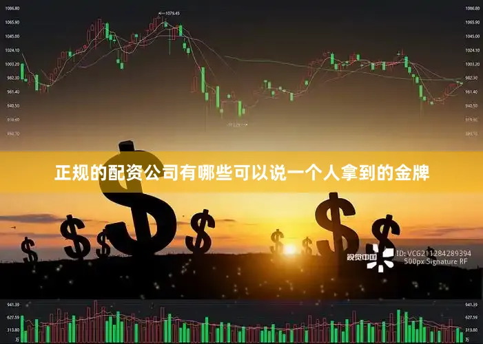 正规的配资公司有哪些可以说一个人拿到的金牌
